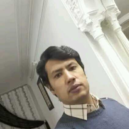Ali Y.