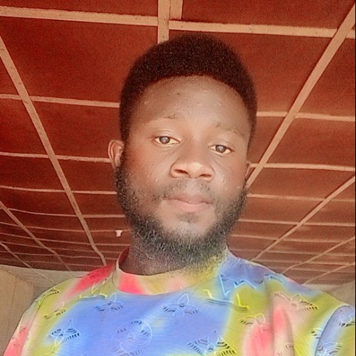Amaechi S. profile photo