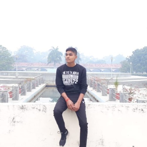 Tejendra S.