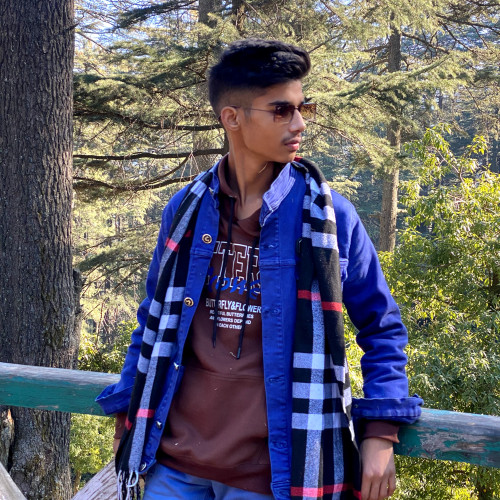 ankush  p.