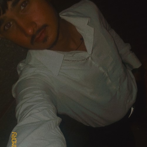 Shaik N.