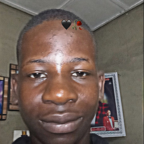 Sorinolu A. profile photo