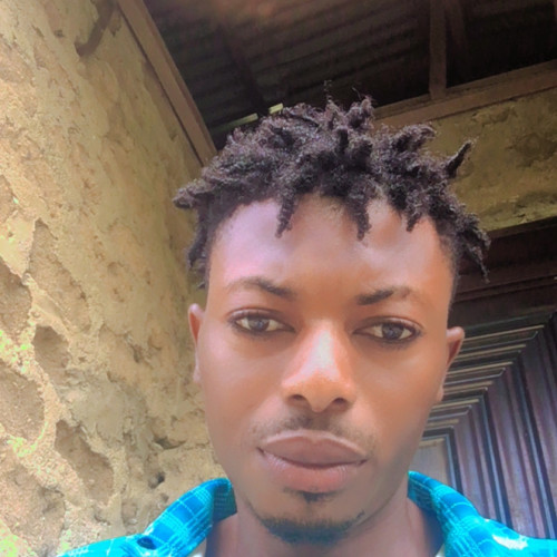 Olaoluwa D. profile photo