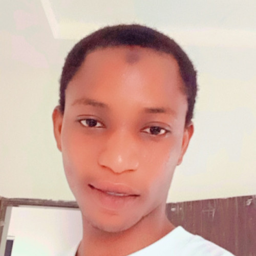 Abdulkabir  I. profile photo