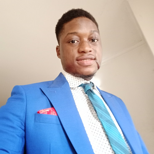 Olaoluwa  A. profile photo