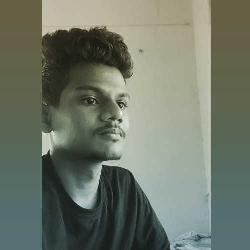 Nitheeswar  M. profile photo