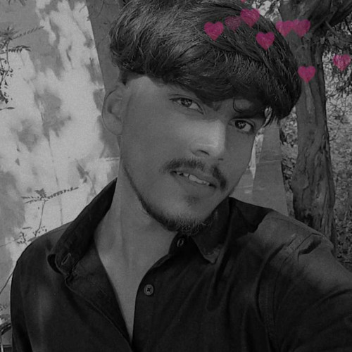 venu R. profile photo