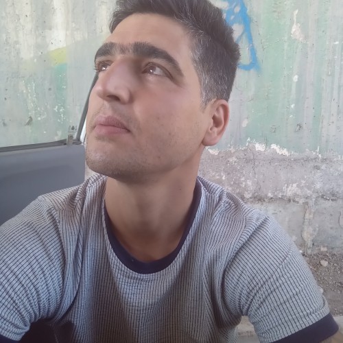 Ali F. profile photo