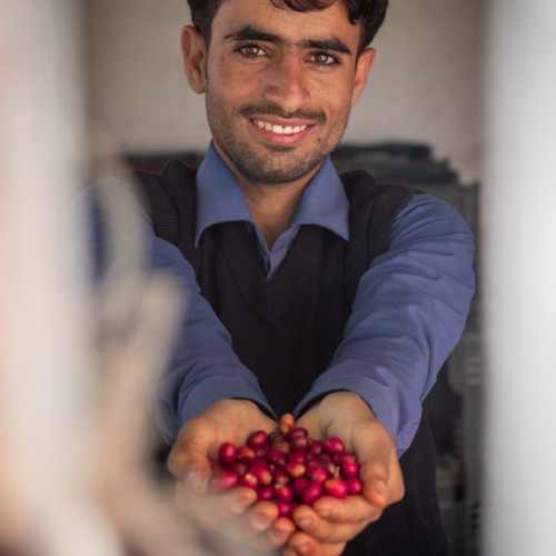 Zaid A. profile photo