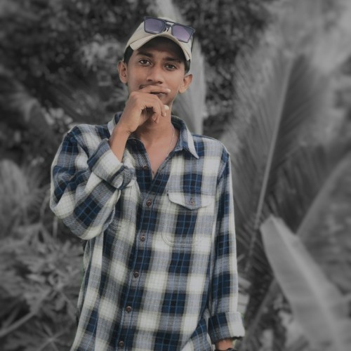 Dushan S.