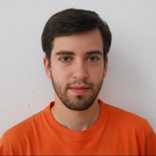 Rui A.