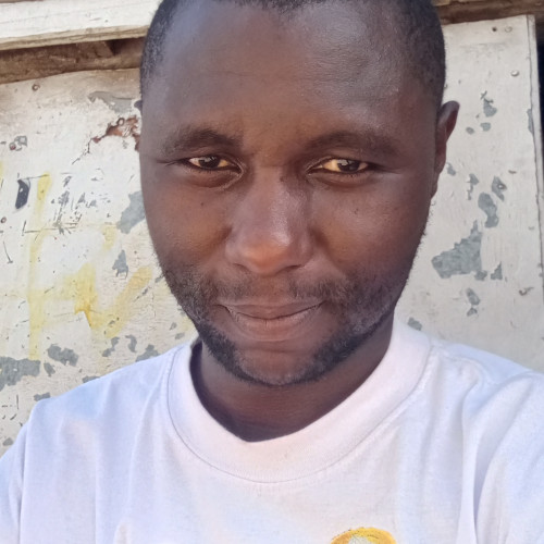 Ken K. profile photo