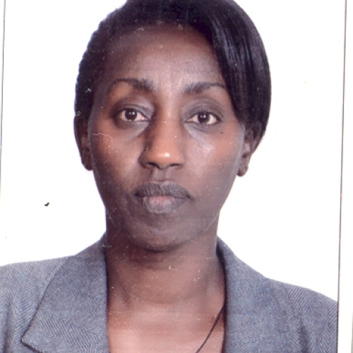 Emebet D. profile photo