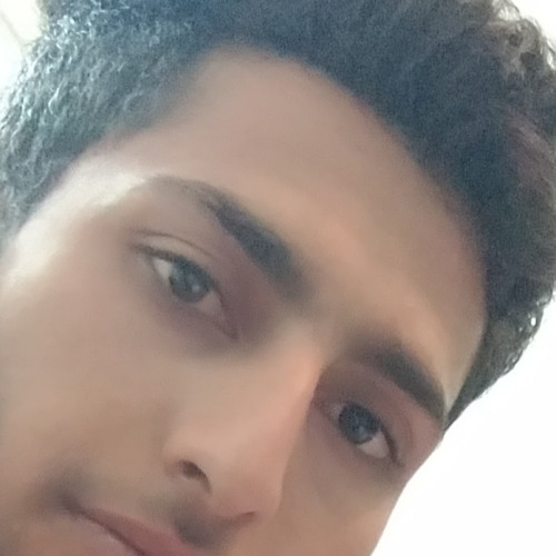 Shahed M. profile photo