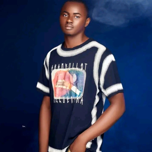 Emmanuel  N. profile photo