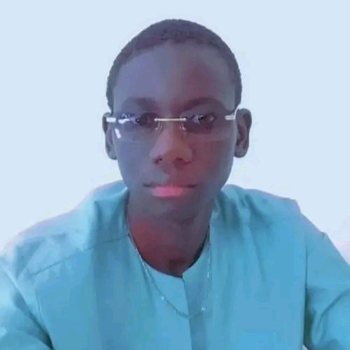 Mouhamed  D.