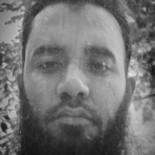 loyalist L. profile photo