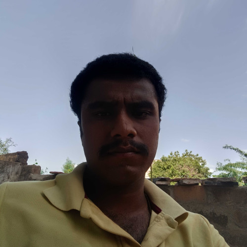 yogi b. profile photo