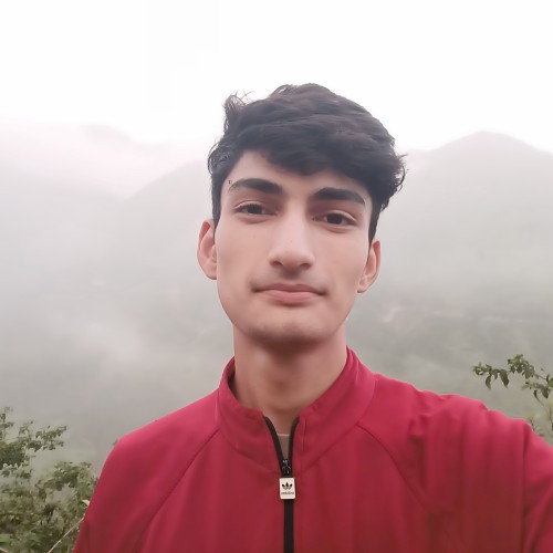 Aditya S.