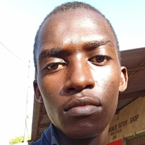 levy o. profile photo