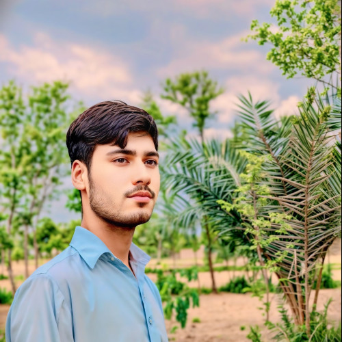 Zeeshan H.