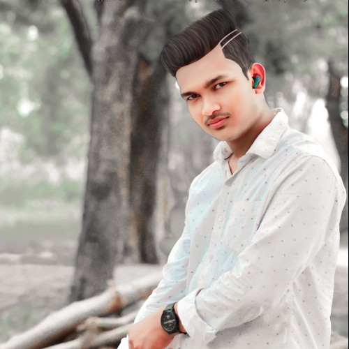 Abhay N.