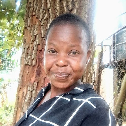 Ramadhan R. profile photo