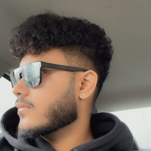Raj L.