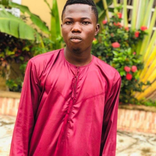 Bashiru s.