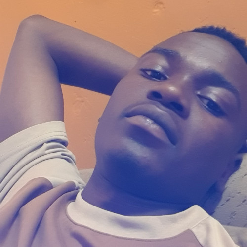 Danho M. profile photo