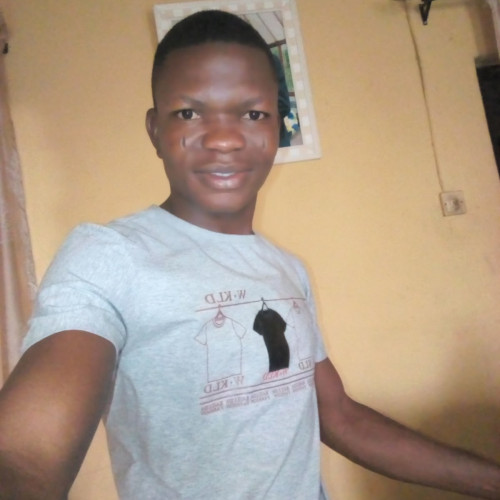 Oluwaseyi O. profile photo