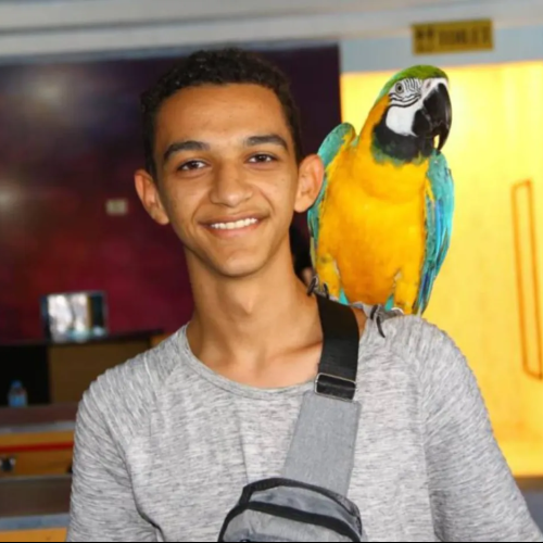 Omar M. profile photo