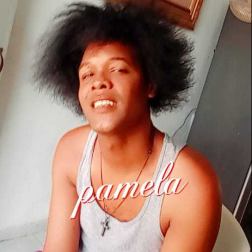 MiDominicano P. profile photo