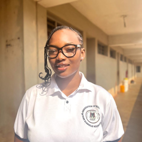 Chisom T. profile photo