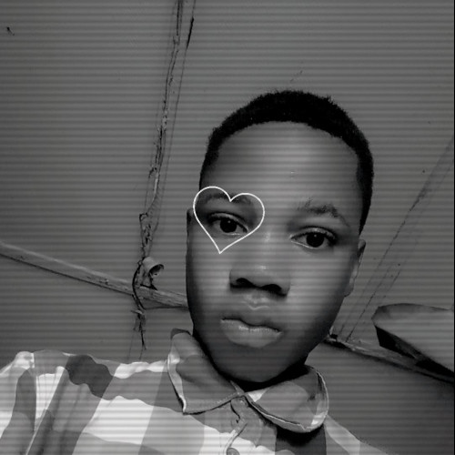 Semaz S. profile photo