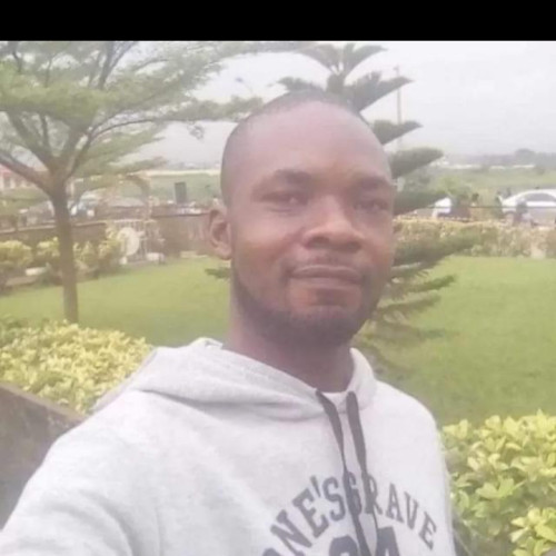 Adegboyega olawale  O. profile photo