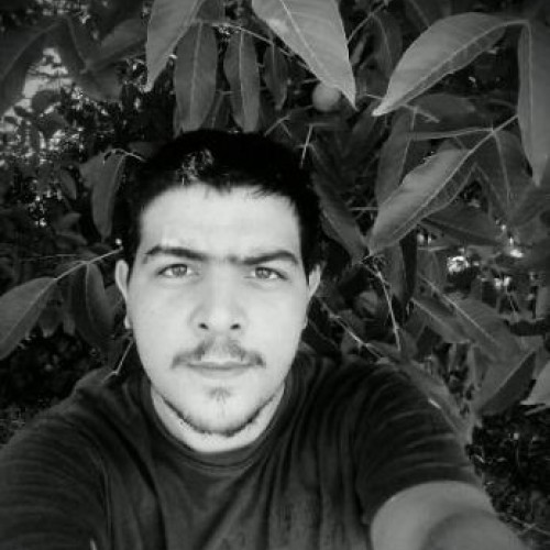 Georgios T.