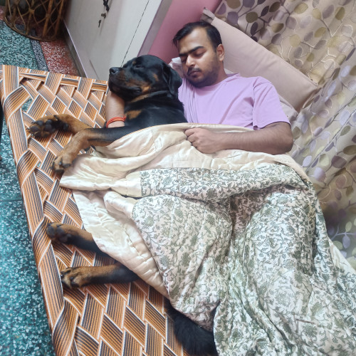 Rahul G. profile photo