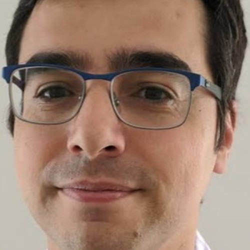 Fossati N. profile photo