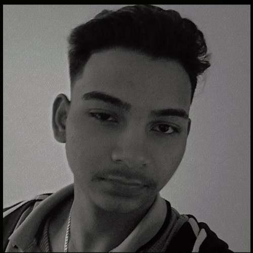 Tiger  T. profile photo