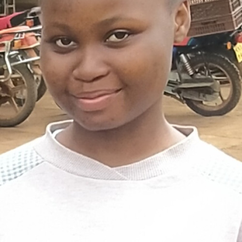 Lisa N. profile photo