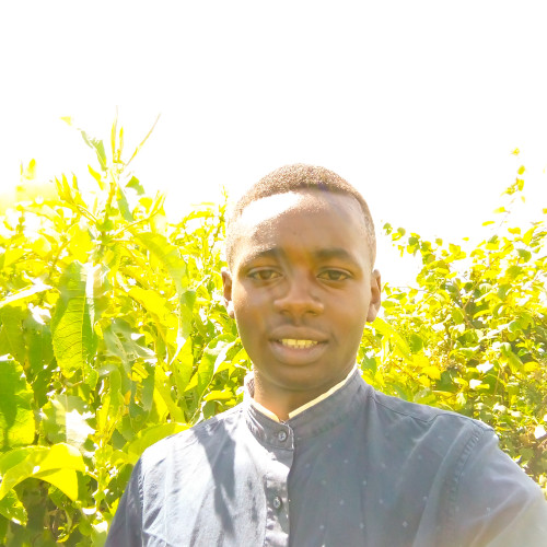 Kelvin M. profile photo