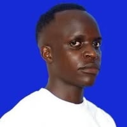 kamulegeya h. profile photo