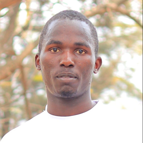 Alex M. profile photo