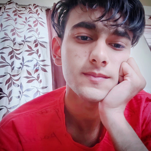 Ayush K. profile photo
