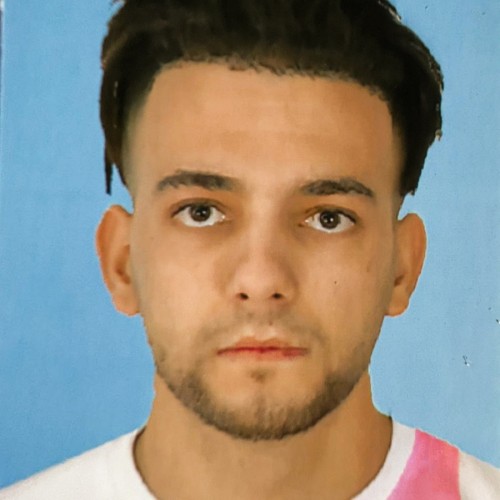 Mehdi D.