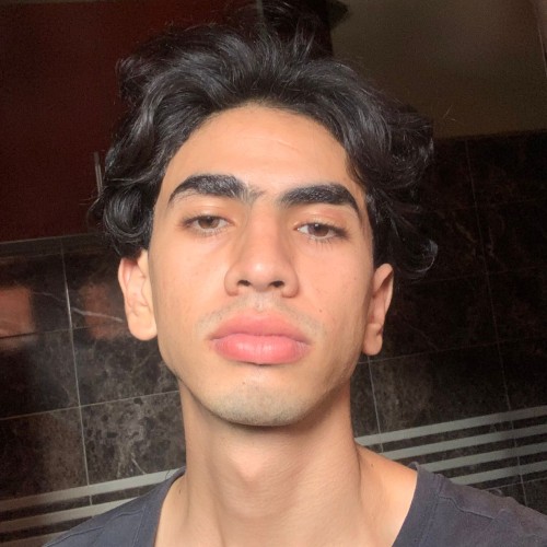 Mehdi I. profile photo