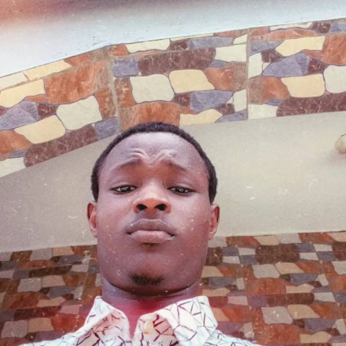 Olawuwo A. profile photo