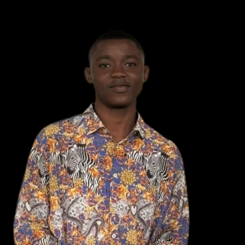 Adeyemo  O. profile photo