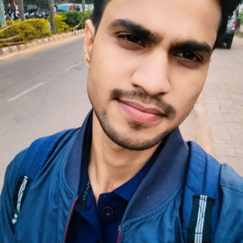 Biswa B. profile photo